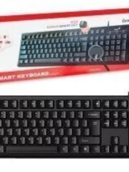 Teclado Genius kb-116 usb